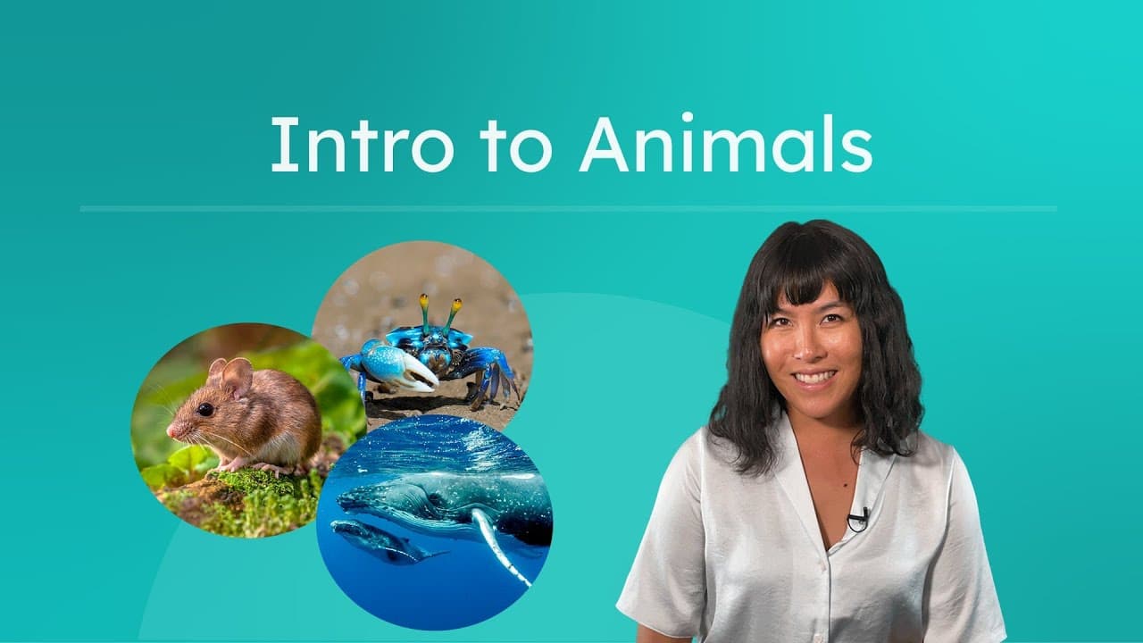 Introduction to Animal Biology and Classification