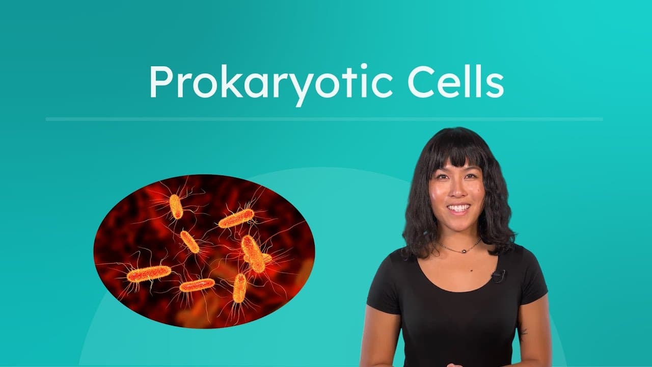 Exploring Prokaryotic Cells: Bacteria and Archaea