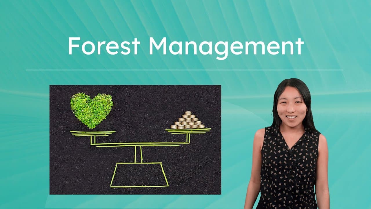 Sustainable Forestry and Conservation Explained