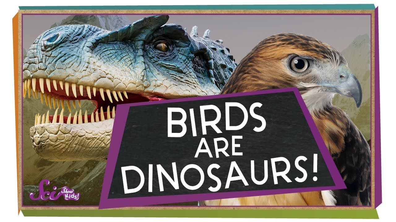 How Dinosaurs Evolved Into Birds