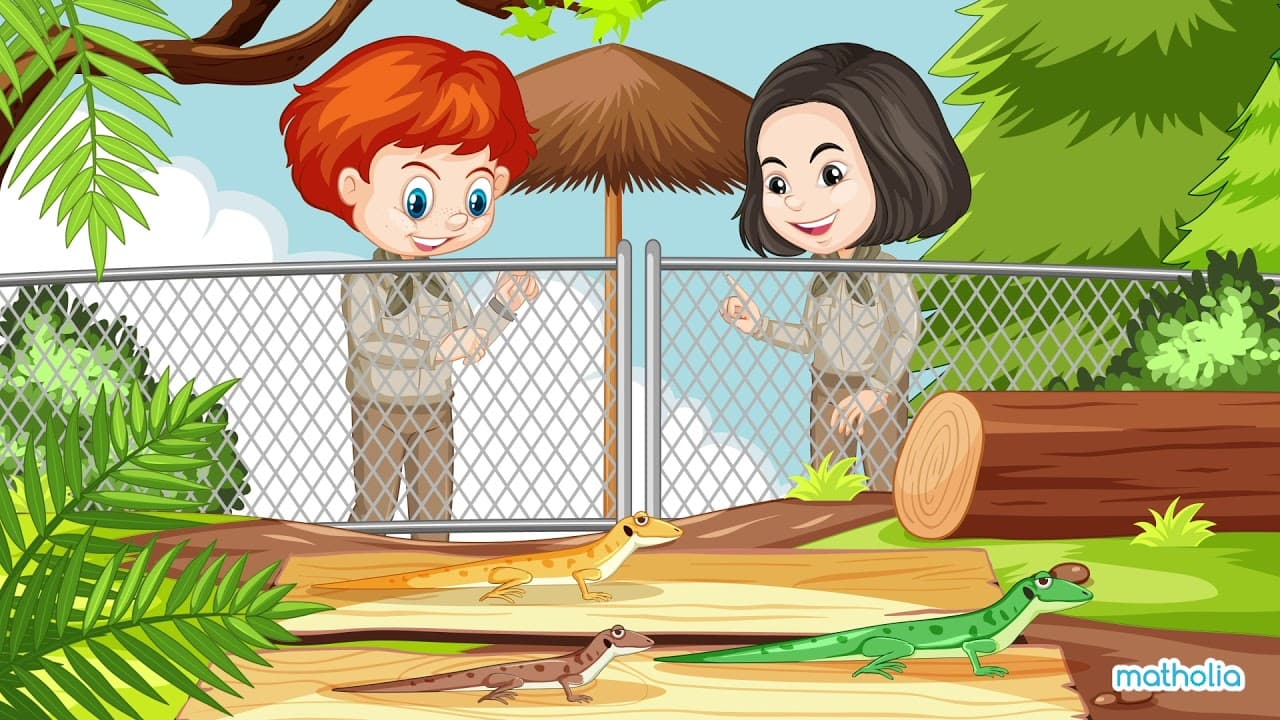 Comparing Lengths at the Zoo: Longer, Shorter, Longest, and Shortest