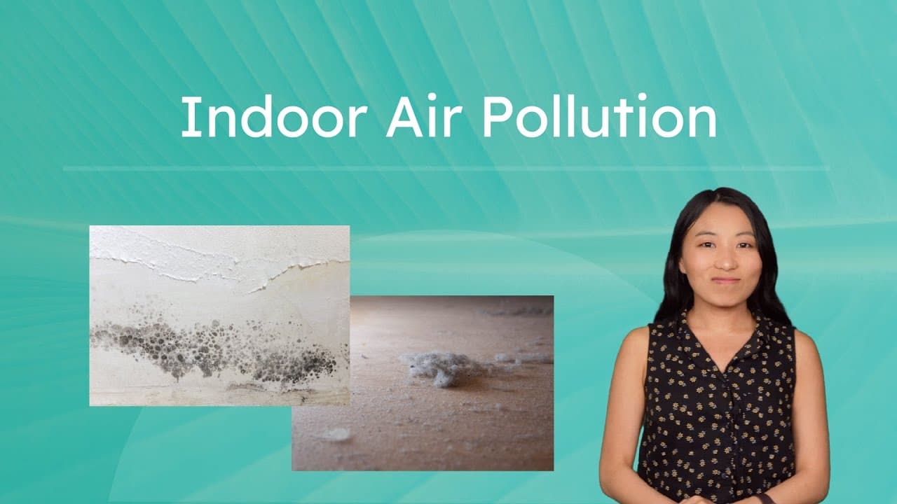 Understanding and Improving Indoor Air Quality