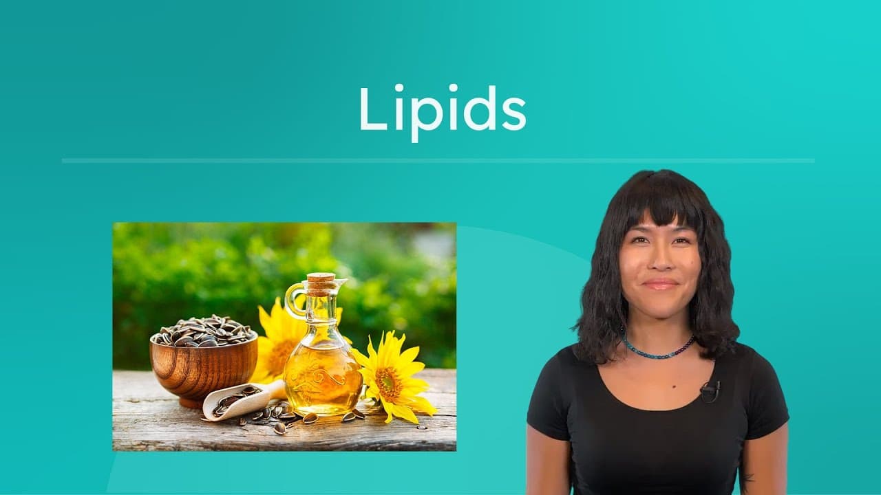 What Are Lipids? Fats, Steroids, and Waxes Explained