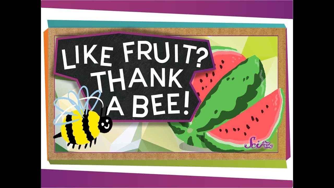 How Bees Help Flowers Make Fruit