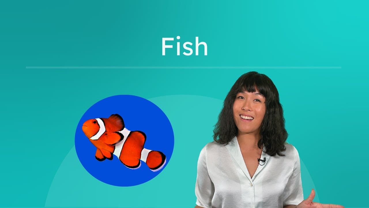 Understanding Chordates and the Biology of Fish