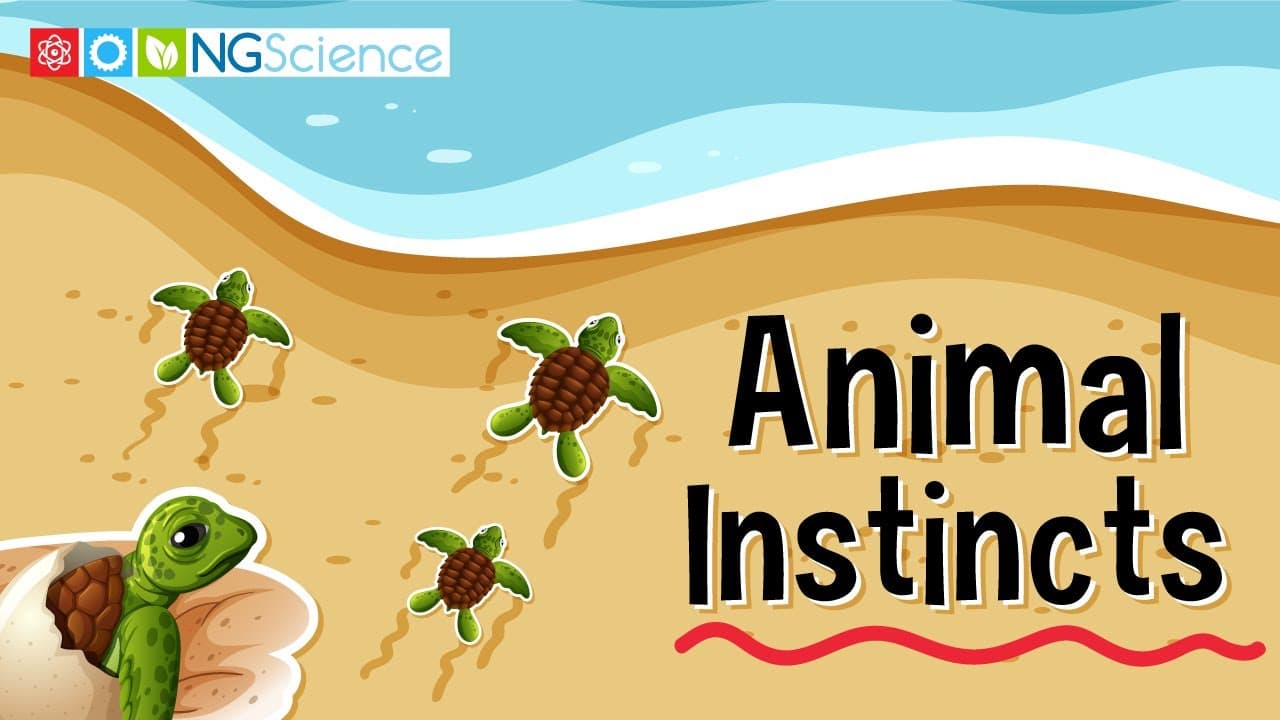 Understanding Animal Instincts and Survival Behaviors