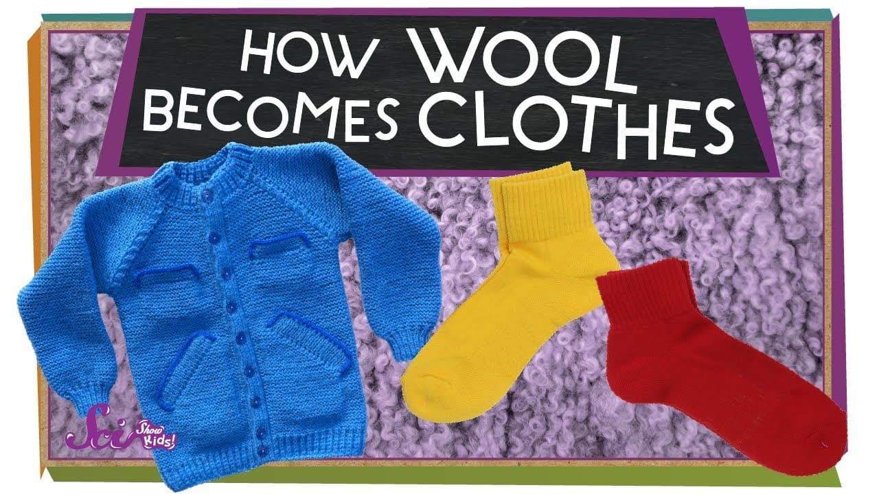 From Sheep to Sweater: The Story of Wool