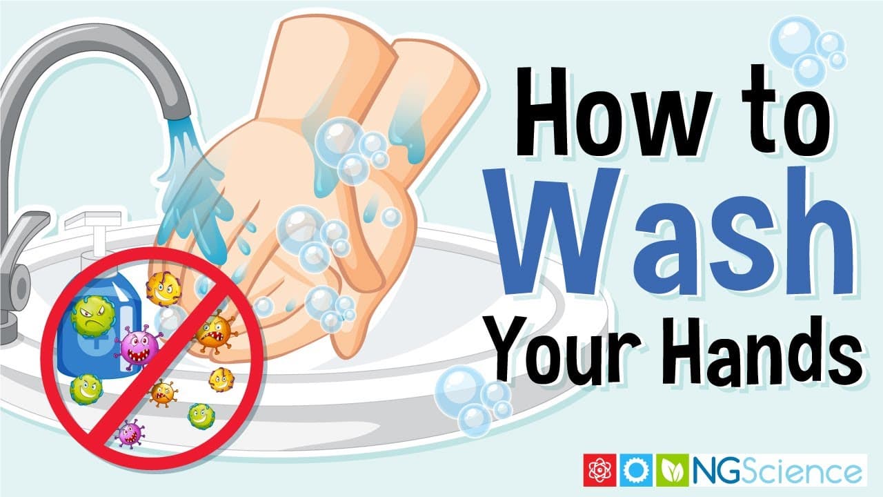 How to Wash Your Hands Properly