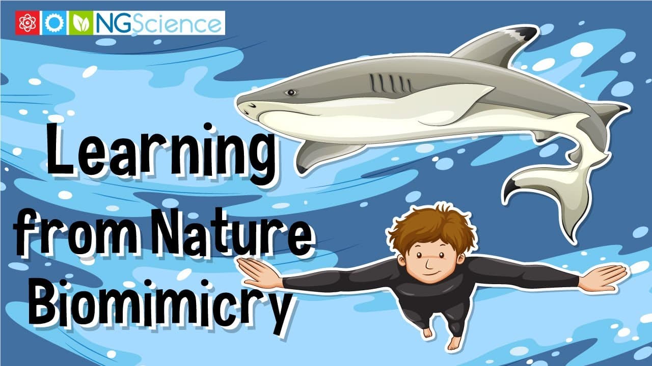 Designing with Nature: An Introduction to Biomimicry