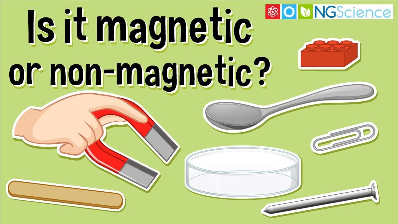 Exploring Magnetic and Non-Magnetic Objects