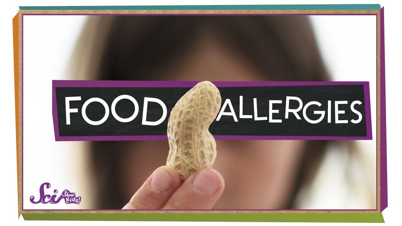 How Food Allergies and the Immune System Work