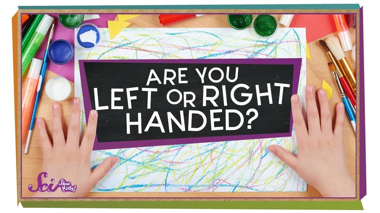 Why Are We Right or Left-Handed?