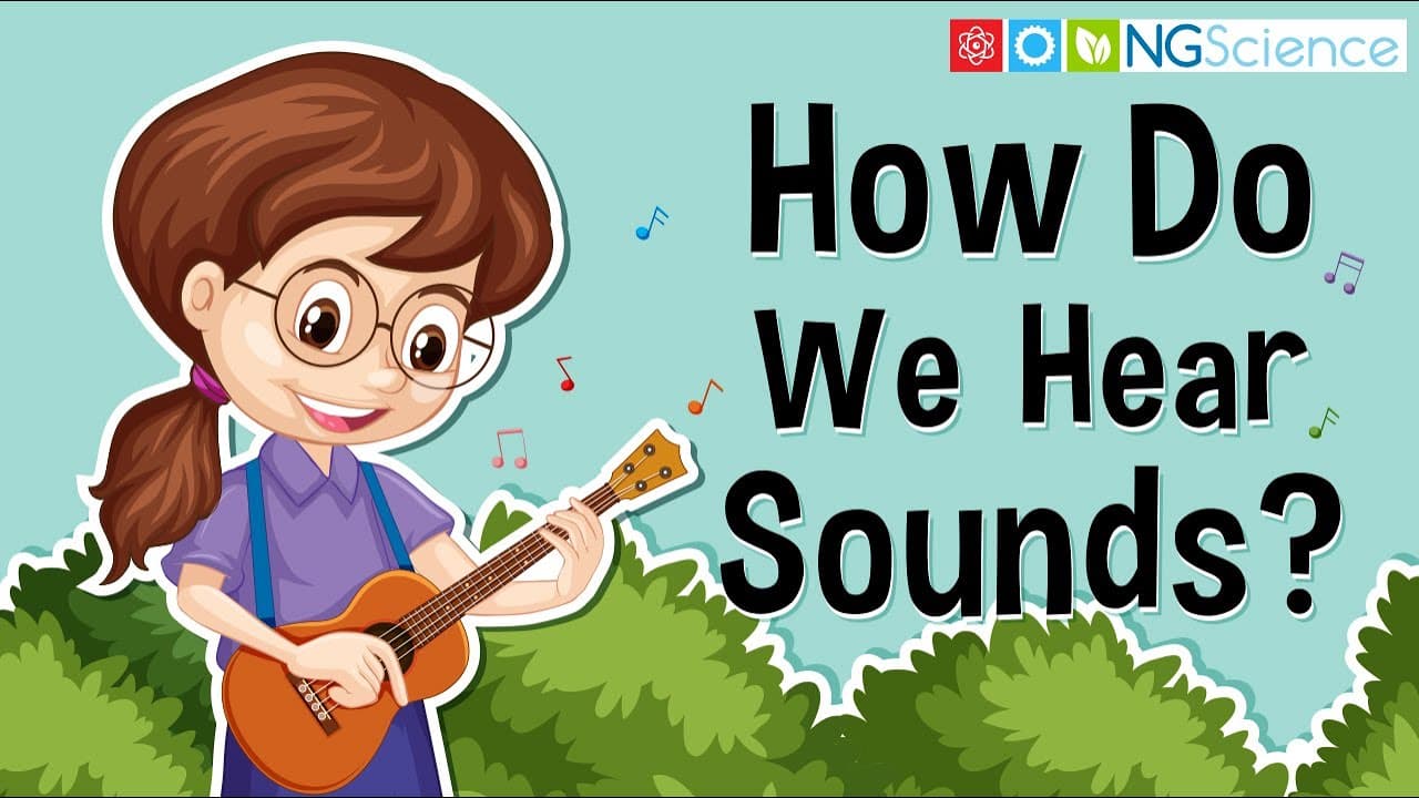 How Vibrations Create Sound