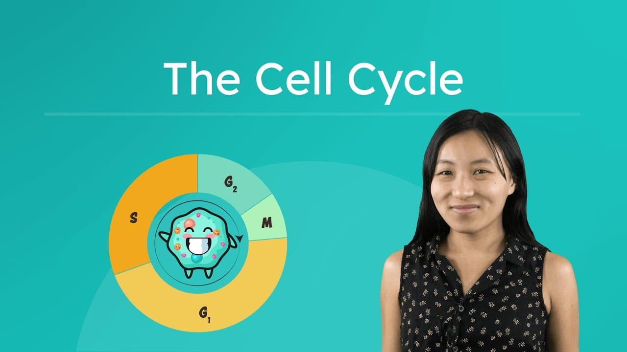 How Cells Grow and Divide: The Cell Cycle Explained