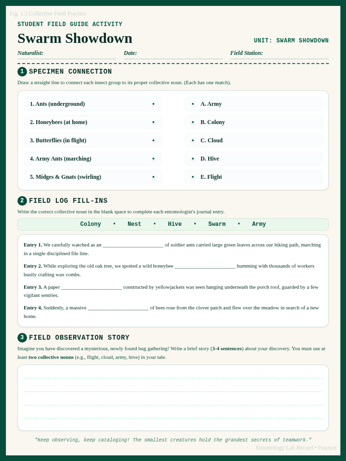 Swarm Showdown Practice Worksheet