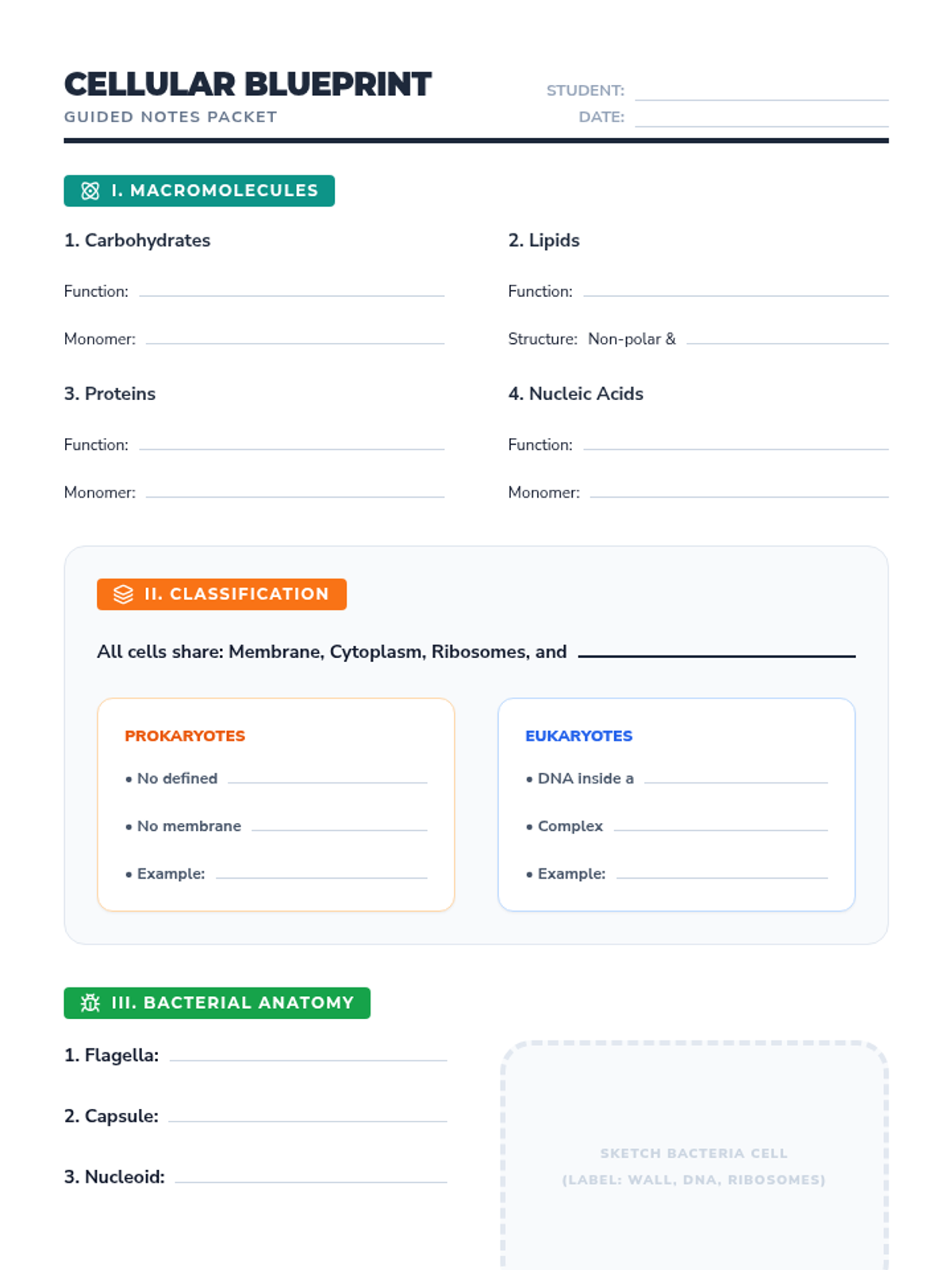 Cellular Blueprint Notes