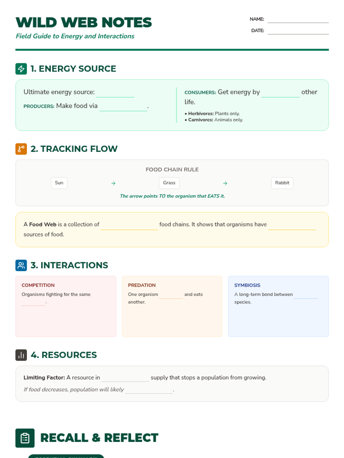Wild Web Notes