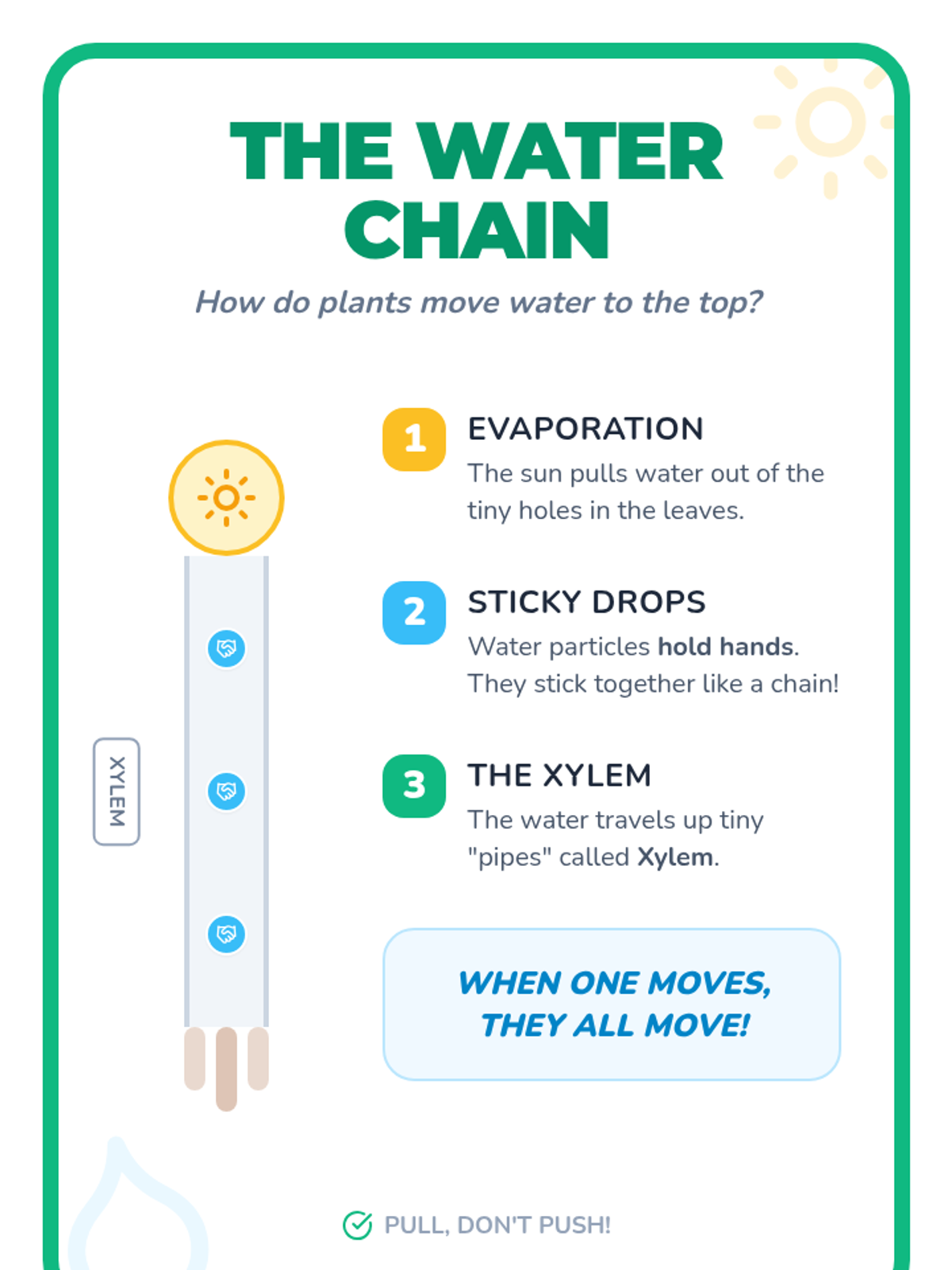Water Chain Feature Water Chain Anchor Chart • Material • Lenny Learning