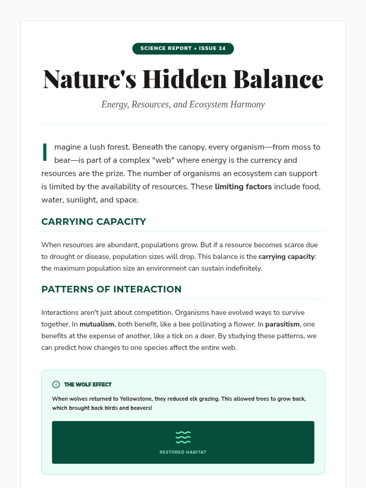 Nature Hidden Balance Passage