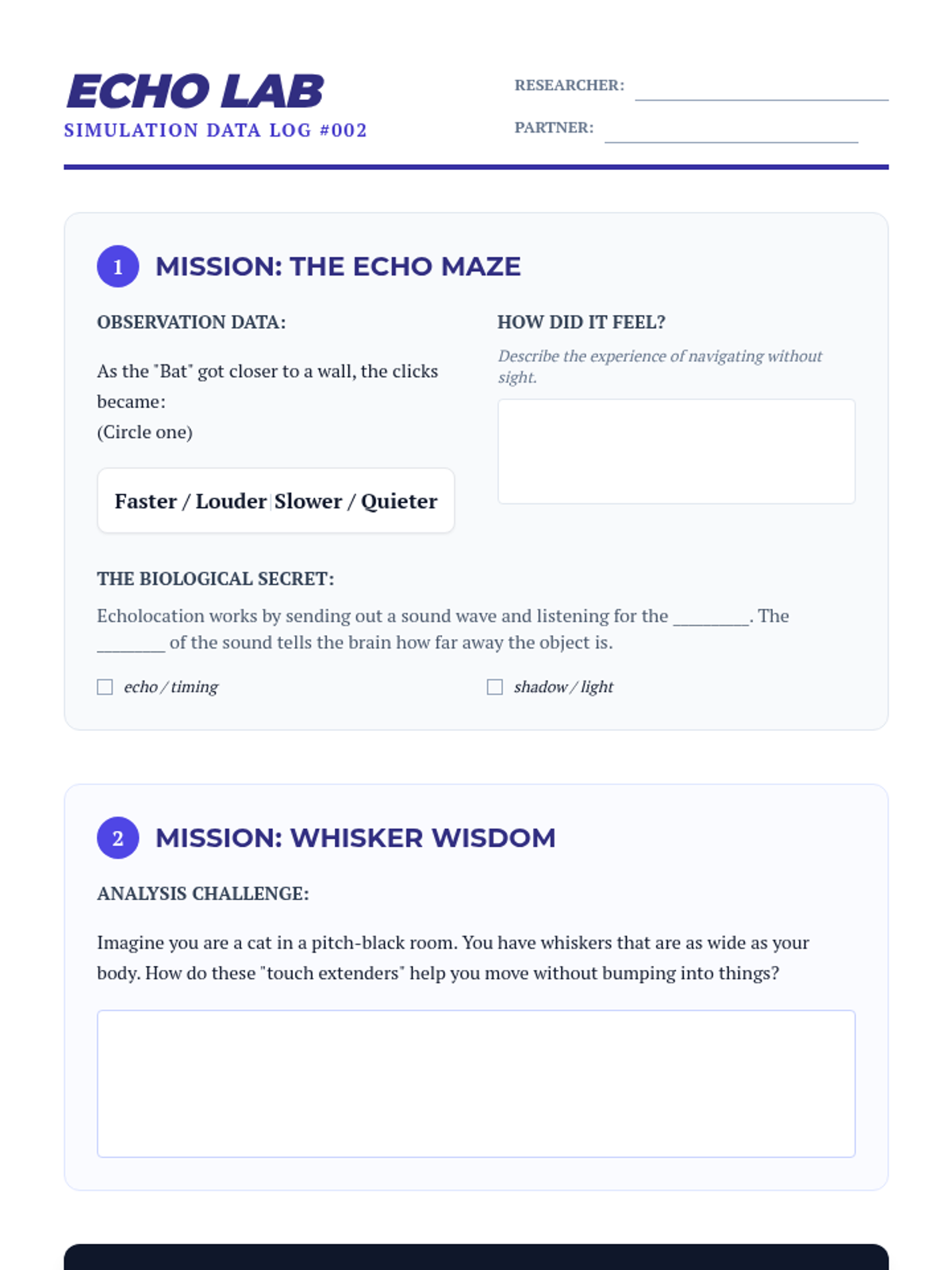 Echo Lab Activity Sheet • Material • Lenny Learning