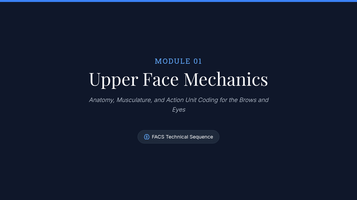 Upper Face Slides