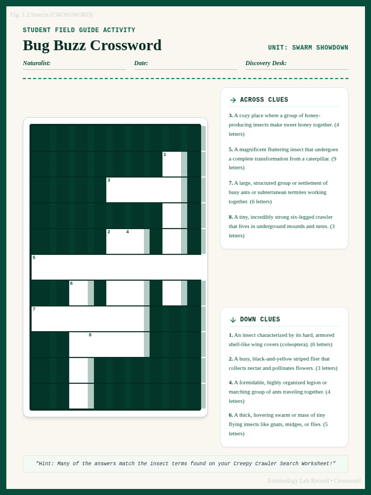 Bug Buzz Crossword Worksheet
