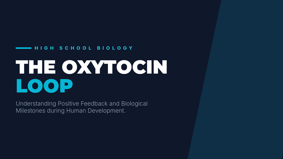 The Oxytocin Loop • Lesson • Lenny Learning