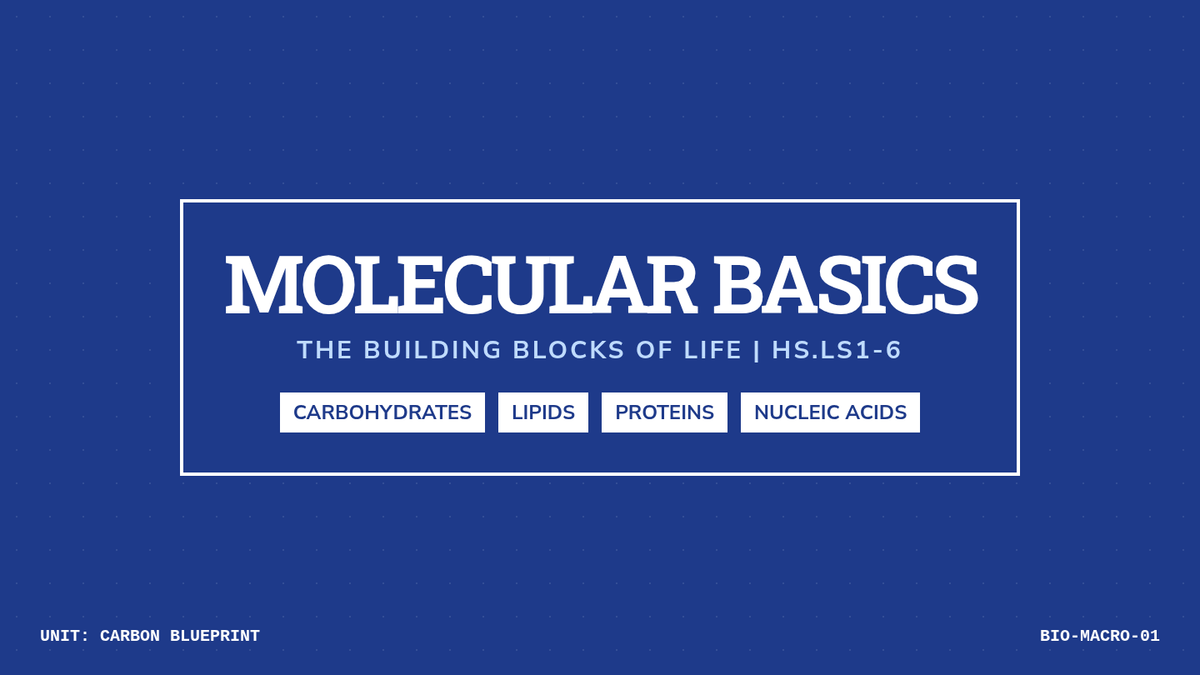 Molecular Basics Slides