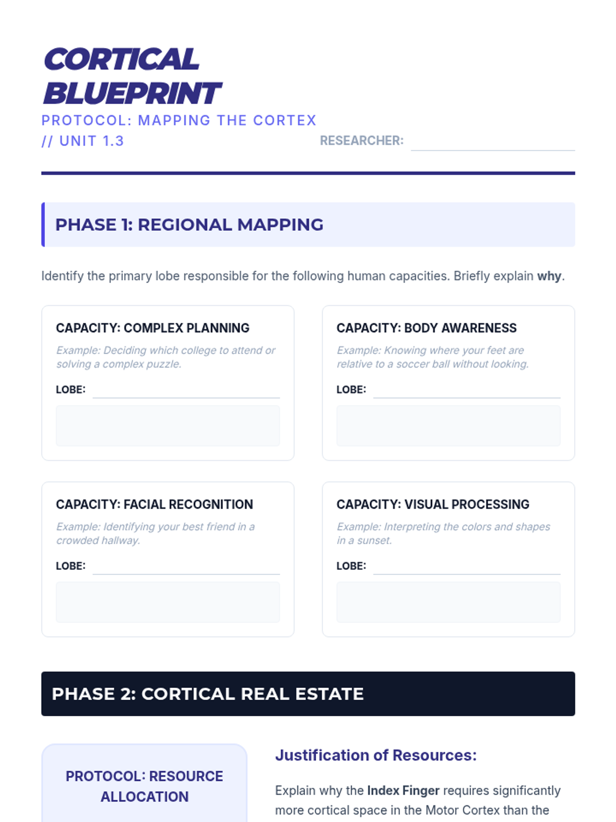 Mapping the Cortex • Lesson • Lenny Learning