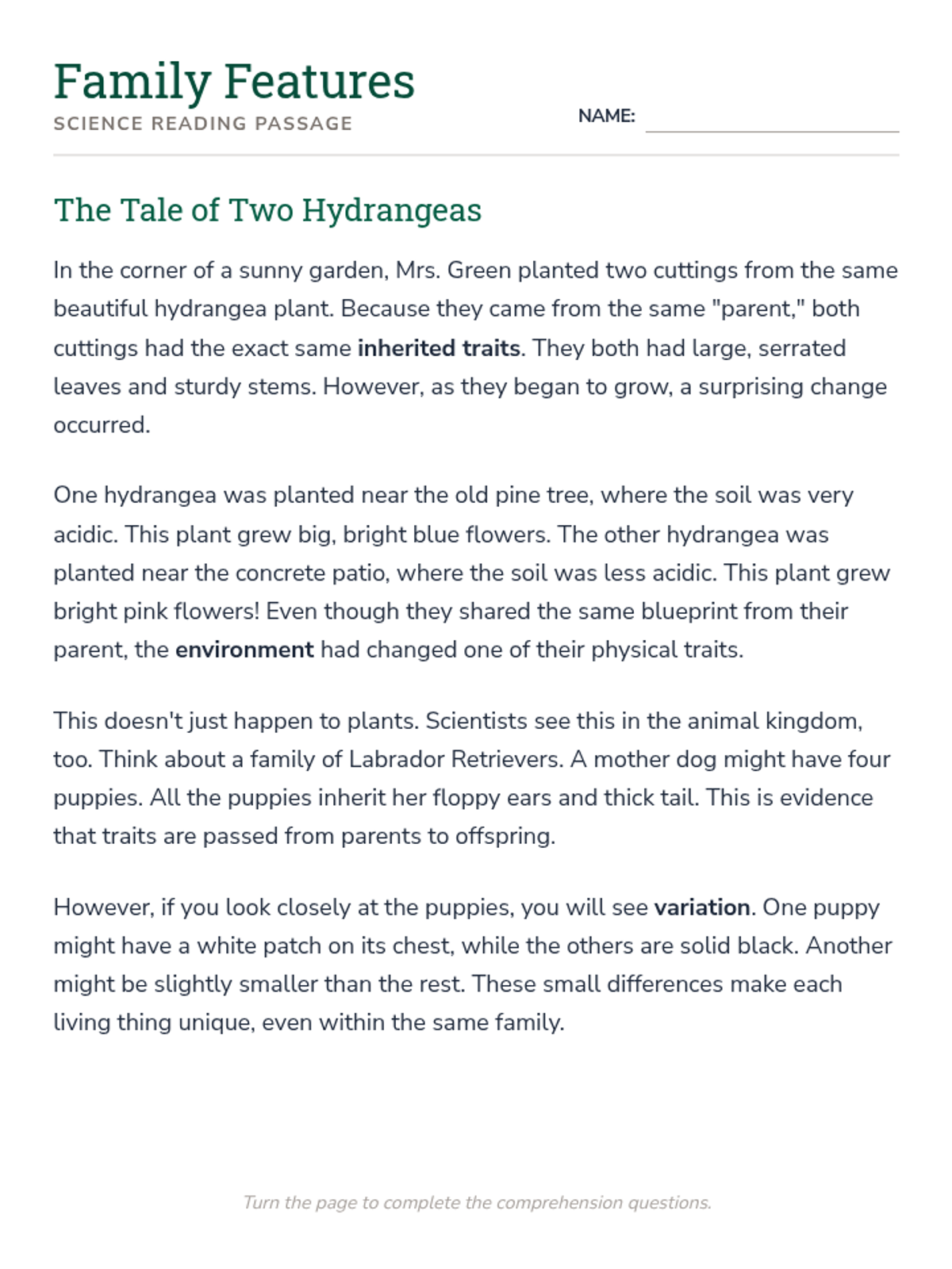 Family Features Reading Passage