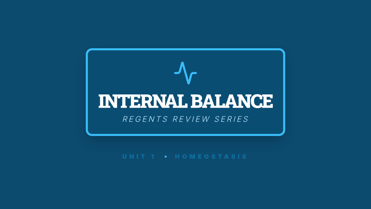 Internal Balance Slides