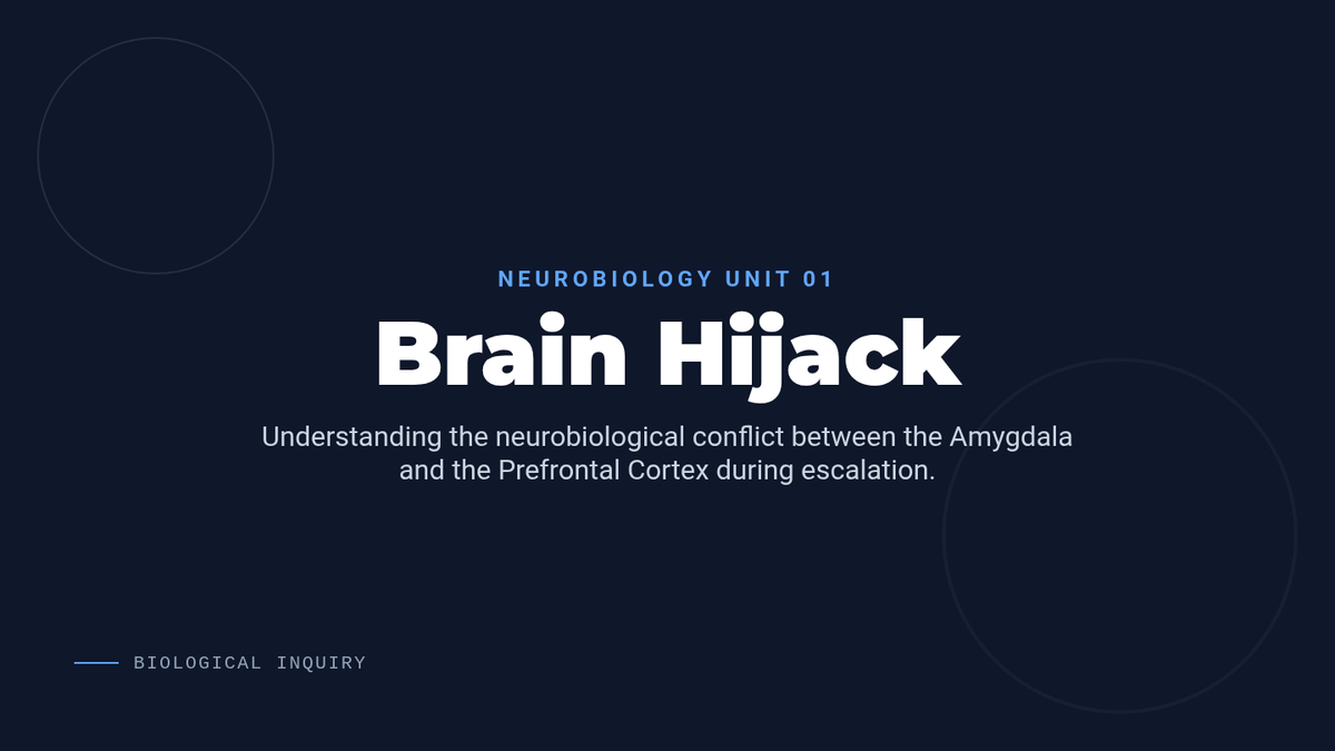 Brain Hijack Slides