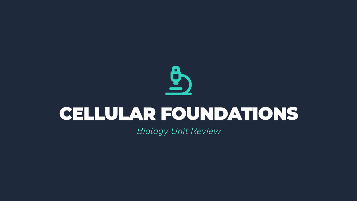 Cellular Blueprint Slides