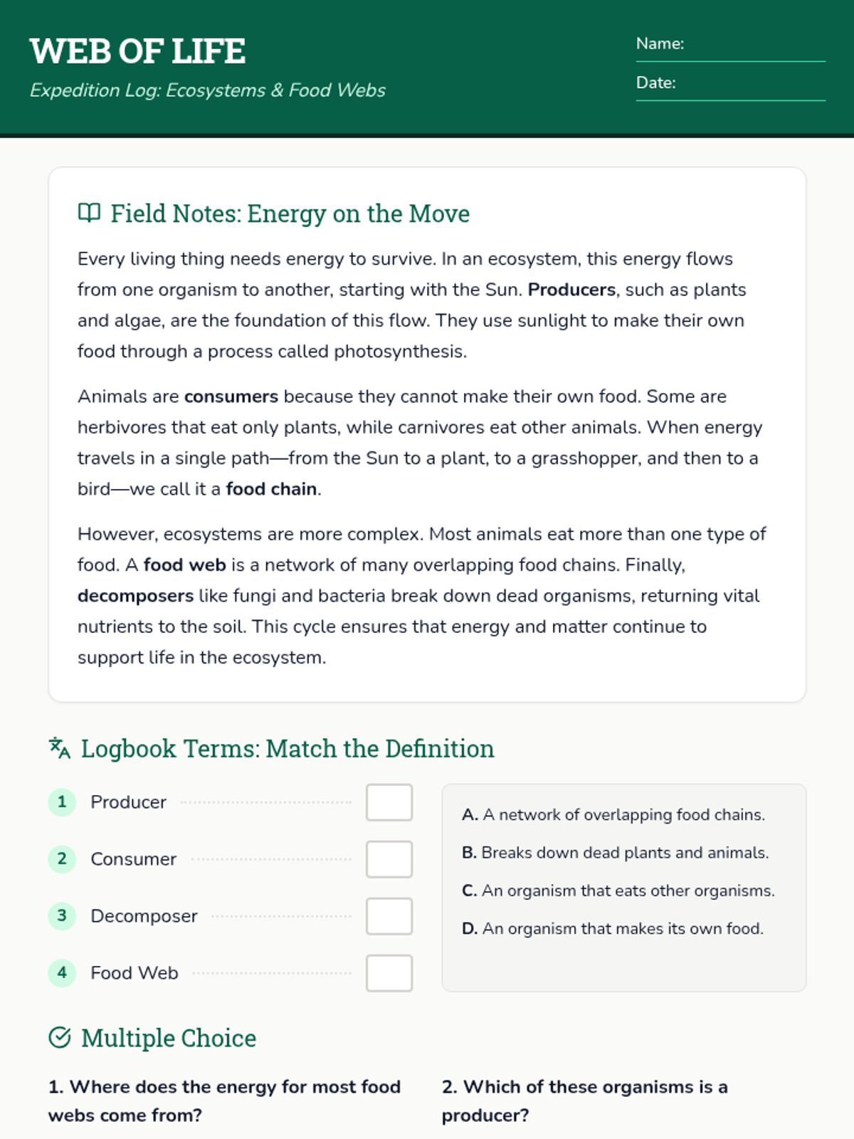 Web of Life Worksheet