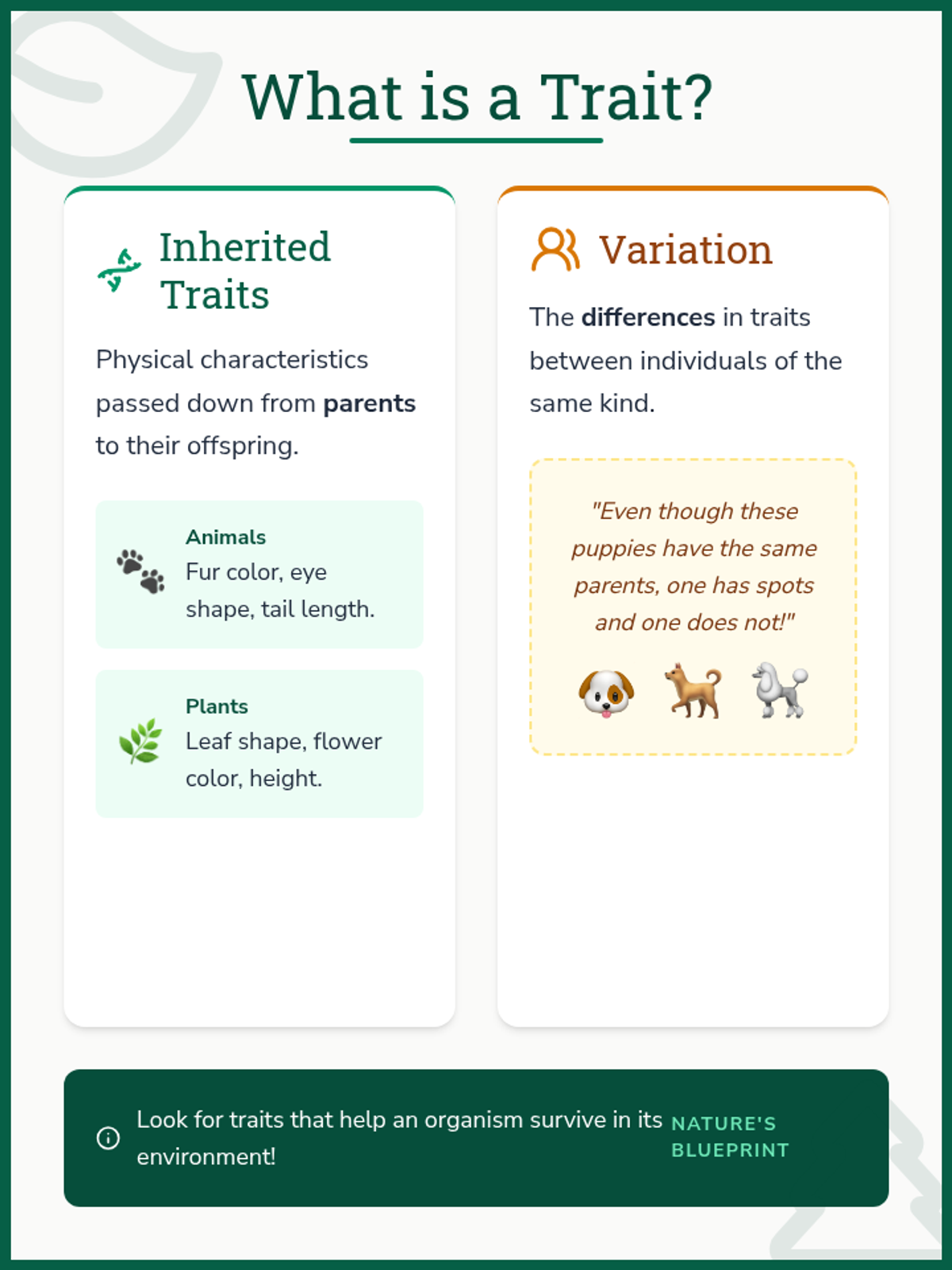 Blueprint Basics Anchor Charts