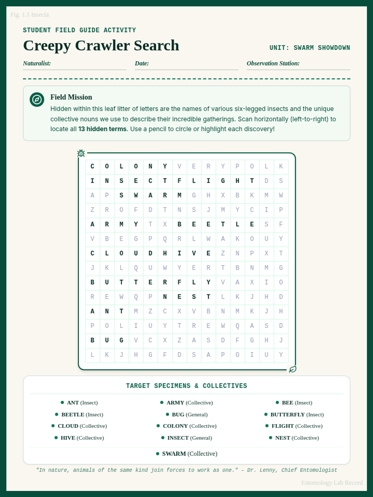 Creepy Crawler Search Worksheet