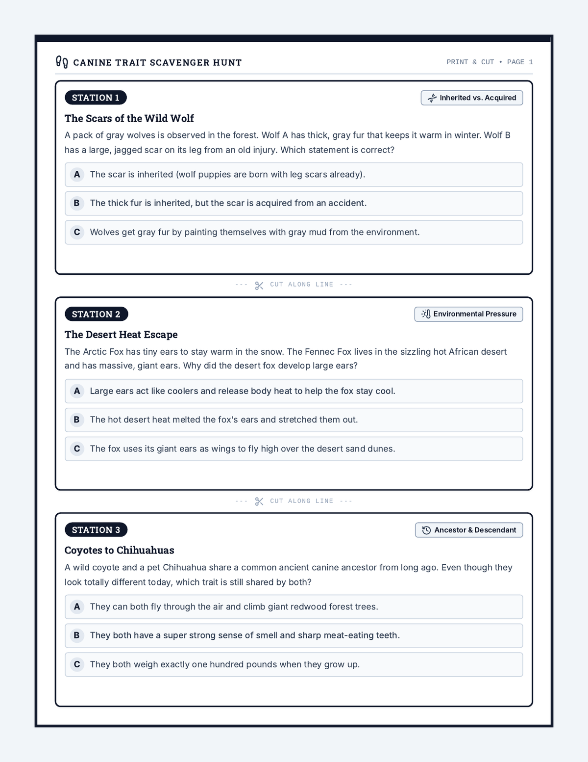 Canine Clues Task Cards page 1
