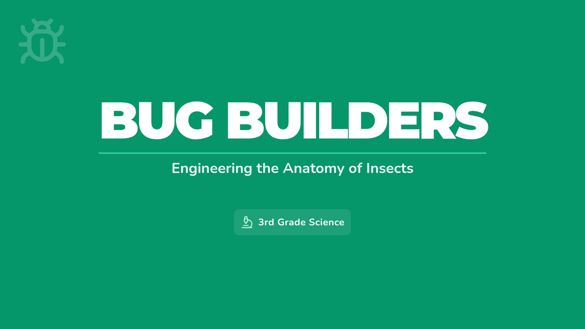 Bug Builders Slides • Material • Lenny Learning