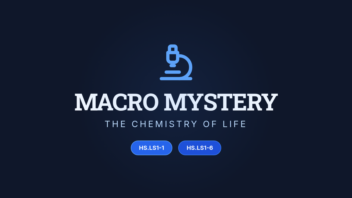 Macro Mystery Slides