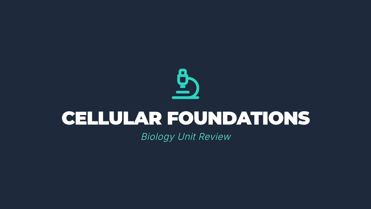 Cellular Blueprint Slides