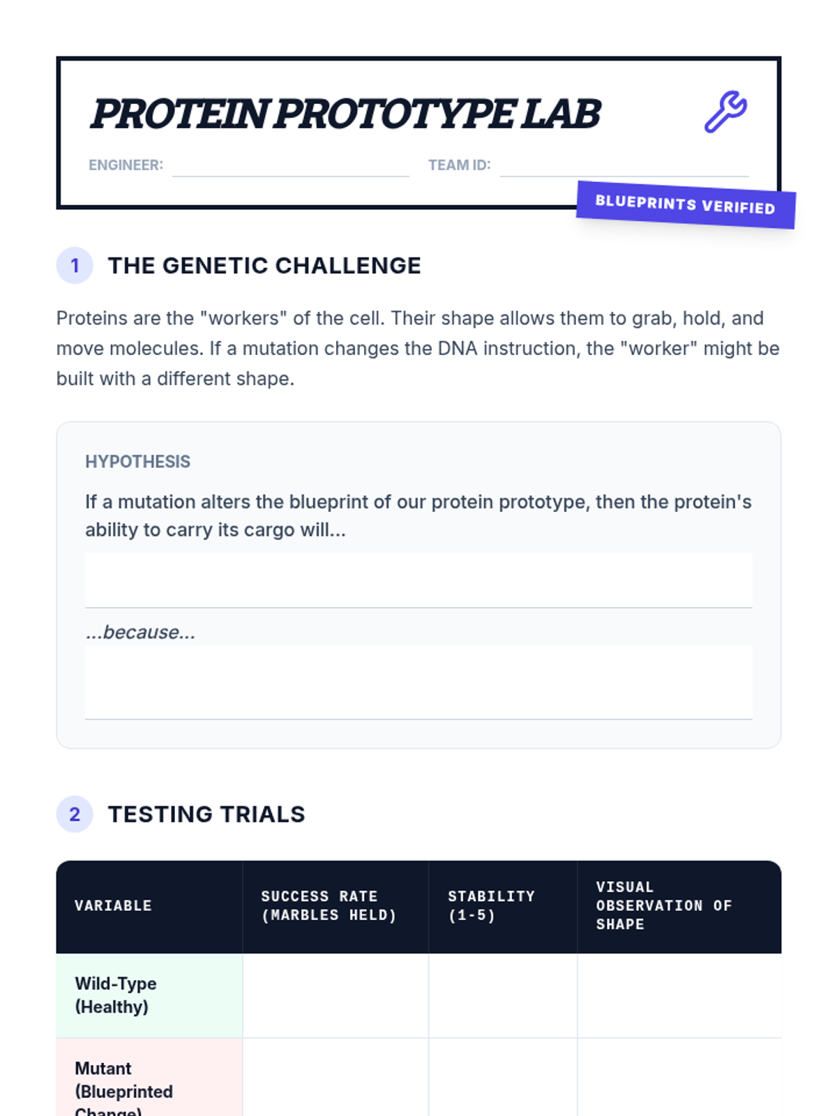 Protein Prototype Lesson • Lesson • Lenny Learning